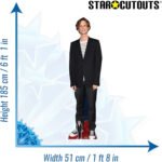 Matthew Gray Gubler 'Black Jacket' (American Actor) Lifesize + Mini Cardboard Cutout - Image 3