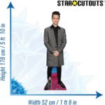 Brendon Urie (American Singer/Songwriter) Lifesize + Mini Cardboard Cutout - Image 3