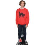 Matthew Gray Gubler 'Red Jumper' (American Actor) Lifesize + Mini Cardboard Cutout