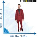 Joe Jonas (American Singer/Songwriter) Lifesize + Mini Cardboard Cutout - Image 3