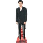 Harry Styles 'Red Shoes' (English Singer/Songwriter) Mini Cardboard Cutout / Standee