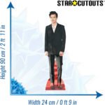 Harry Styles 'Red Shoes' (English Singer/Songwriter) Mini Cardboard Cutout / Standee - Image 3
