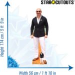 Pitbull (American Singer/Songwriter) Lifesize + Mini Cardboard Cutout / Standee - Image 3