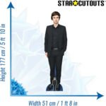 Freddie Highmore (English Actor) Lifesize + Mini Cardboard Cutout / Standee - Image 3