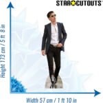 Alex Turner (English Singer/Songwriter) Lifesize + Mini Cardboard Cutout / Standee - Image 2