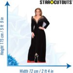 Adele 'Black Dress' (English Singer/Songwriter) Lifesize + Mini Cardboard Cutout / Standee - Image 3