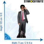 The Weeknd (Canadian Singer/Songwriter) Lifesize + Mini Cardboard Cutout / Standee - Image 3