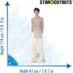 Troye Sivan (Australian Singer/Songwriter) Lifesize + Mini Cardboard Cutout / Standee - Image 3
