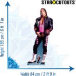 Bret “The Hitman” Hart (WWE) Official Lifesize + Mini Cardboard Cutout / Standee - Image 2