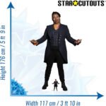 The Fugitive 'Jo Martin' (Doctor Who) Official Lifesize + Mini Cardboard Cutout / Standee - Image 3