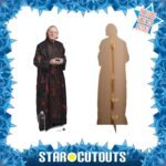 The 1st Doctor Who (David Bradley) Special Official Lifesize + Mini Cardboard Cutout / Standee - Image 2