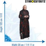 The 1st Doctor Who (David Bradley) Special Official Lifesize + Mini Cardboard Cutout / Standee - Image 3
