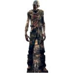 Zombie Skeleton (Halloween/Horror) Lifesize + Mini Cardboard Cutout / Standee