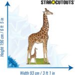 Giraffe Large + Mini Cardboard Cutout / Standee - Image 3