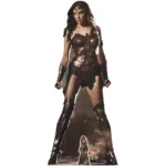 Wonder Woman (Gal Gadot) Official Lifesize + Mini Cardboard Cutout / Standee