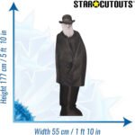 Charles Darwin (English Naturalist & Geologist) Lifesize Cardboard Cutout / Standee - Image 3