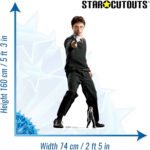 Harry Potter 'Hogwarts School Uniform' (Harry Potter) Official Lifesize + Mini Cardboard Cutout / Standee - Image 3