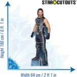 Seth Rollins 'Colby Daniel Lopez' (WWE) Official Lifesize + Mini Cardboard Cutout / Standee - Image 3