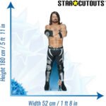 AJ Styles 'Allen Neal Jones' (WWE) Official Lifesize + Mini Cardboard Cutout / Standee - Image 3