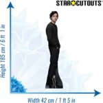 Jughead Jones 'Cole Sprouse' (Riverdale) Official Lifesize + Mini Cardboard Cutout / Standee - Image 3