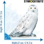 Hedwig (Harry Potter) Official Lifesize Cardboard Cutout / Standee - Image 3