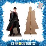 Harry Potter 'Quidditch Captain' (Harry Potter) Official Lifesize + Mini Cardboard Cutout / Standee - Image 2