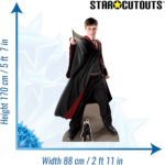 Harry Potter 'Quidditch Captain' (Harry Potter) Official Lifesize + Mini Cardboard Cutout / Standee - Image 3