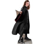 Hermione Jean Granger (Harry Potter) Official Lifesize + Mini Cardboard Cutout / Standee