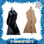 Lord Voldemort 'He Who Must Not Be Named' (Harry Potter) Official Lifesize + Mini Cardboard Cutout / Standee - Image 2