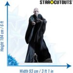 Lord Voldemort 'He Who Must Not Be Named' (Harry Potter) Official Lifesize + Mini Cardboard Cutout / Standee - Image 3