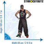 Rey Mysterio 'Óscar Gutiérrez Rubio' (WWE) Official Lifesize + Mini Cardboard Cutout / Standee - Image 3
