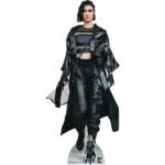 Huntress 'Mary Elizabeth Winstead' (Birds of Prey) Official Lifesize + Mini Cardboard Cutout / Standee