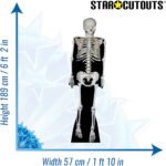 Skeleton (Halloween) Lifesize Cardboard Cutout / Standee - Image 3