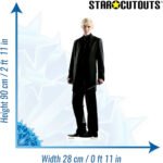 Draco Malfoy (Harry Potter) Official Mini Cardboard Cutout / Standee - Image 3