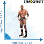 Triple H 'Paul Michael Levesque' (WWE) Official Lifesize + Mini Cardboard Cutout / Standee - Image 3