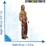 Shawn Michaels (WWE) Official Lifesize + Mini Cardboard Cutout / Standee - Image 3