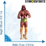 "Macho Man" Randy Savage 'Randy Mario Poffo' (WWE) Official Lifesize + Mini Cardboard Cutout / Standee - Image 3