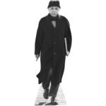 Albert Einstein (German Theoretical Physicist) Lifesize Cardboard Cutout / Standee