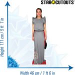 Rania Al Abdullah 'Grey Dress' (Queen Rania of Jordan) Lifesize + Mini Cardboard Cutout / Standee - Image 3