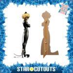 Cat Noir (Miraculous: Tales of Ladybug & Cat Noir) Official Lifesize + Mini Cardboard Cutout / Standee - Image 2
