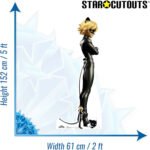 Cat Noir (Miraculous: Tales of Ladybug & Cat Noir) Official Lifesize + Mini Cardboard Cutout / Standee - Image 3