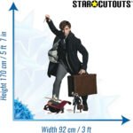 Newt Scamander (Fantastic Beasts: The Secrets of Dumbledore) Official Lifesize + Mini Cardboard Cutout / Standee - Image 3