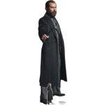 Albus Dumbledore (Fantastic Beasts: The Secrets of Dumbledore) Official Lifesize + Mini Cardboard Cutout / Standee