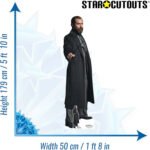 Albus Dumbledore (Fantastic Beasts: The Secrets of Dumbledore) Official Lifesize + Mini Cardboard Cutout / Standee - Image 3