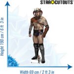 Erik 'Raymond Rowe' (WWE) Official Lifesize + Mini Cardboard Cutout / Standee - Image 3