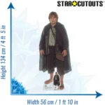 Samwise Gamgee (The Lord of the Rings) Official Lifesize + Mini Cardboard Cutout / Standee - Image 3