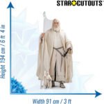 Gandalf (The Lord of the Rings) Official Lifesize + Mini Cardboard Cutout / Standee - Image 3