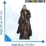 Elrond (The Hobbit) Official Lifesize + Mini Cardboard Cutout / Standee - Image 3