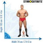 Gunther 'Walter Hahn' (WWE) Official Lifesize + Mini Cardboard Cutout / Standee - Image 3
