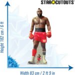 Mr. T (WWE) Official Lifesize + Mini Cardboard Cutout / Standee - Image 3